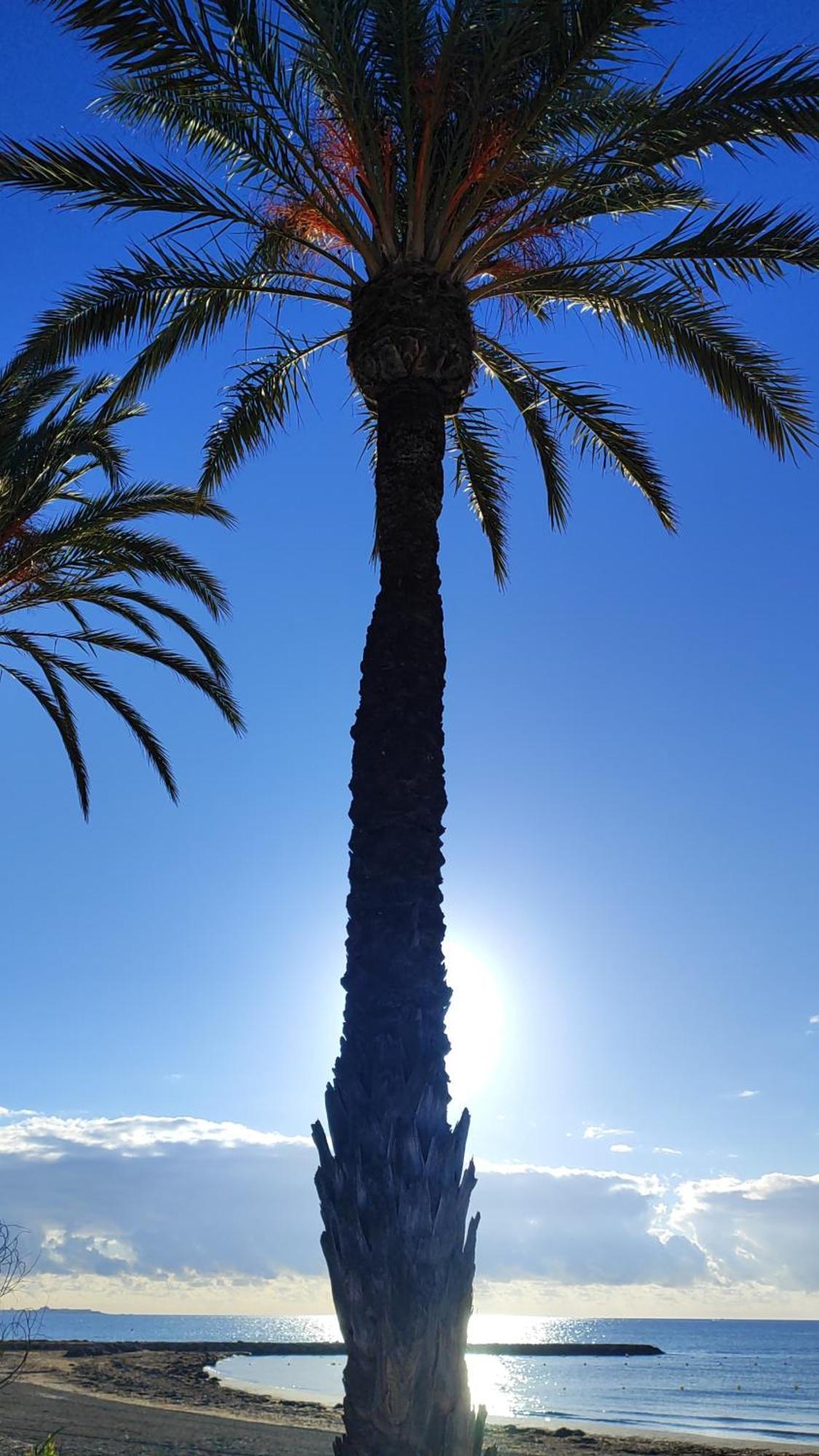 Apartamento Caravaca Santa Pola Kültér fotó